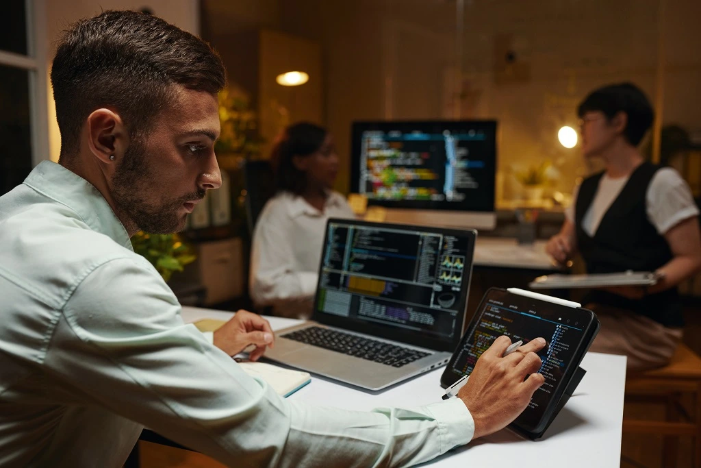 it professional checking the software development strategy